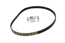 Serpentine Belt