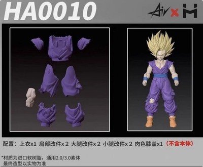 SH Figuarts Dragon Ball Z AIR x HM Studio Gohan Battle Damaged Attire HA0010 NEW