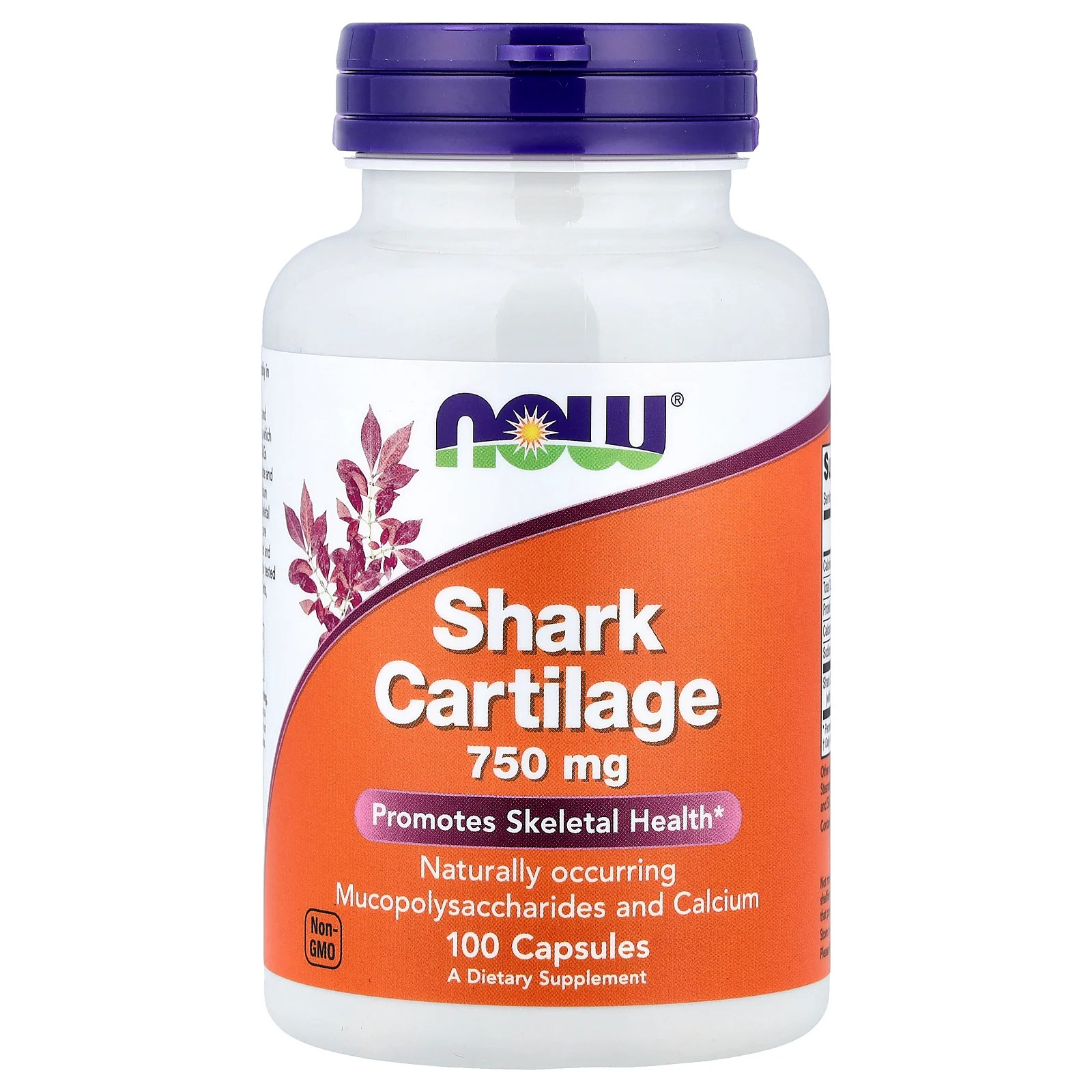 Shark Cartilage, 100 Capsules