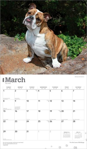 For the Love of Bulldogs | 2026 14x24" (Hanging) Deluxe Wall Calendar - 第 3/9 張圖片