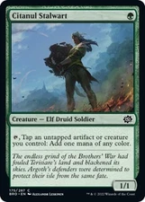 MTG - Citanul Stalwart - 175 - The Brothers' War - NM