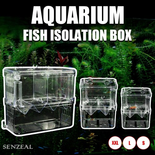 floating breeder box