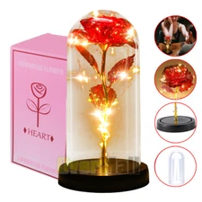 Christmas Gift for Women Mom Wife Rose Flower Gifts for Women Birthday Gifts NEW