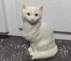 第 1/9 張圖片