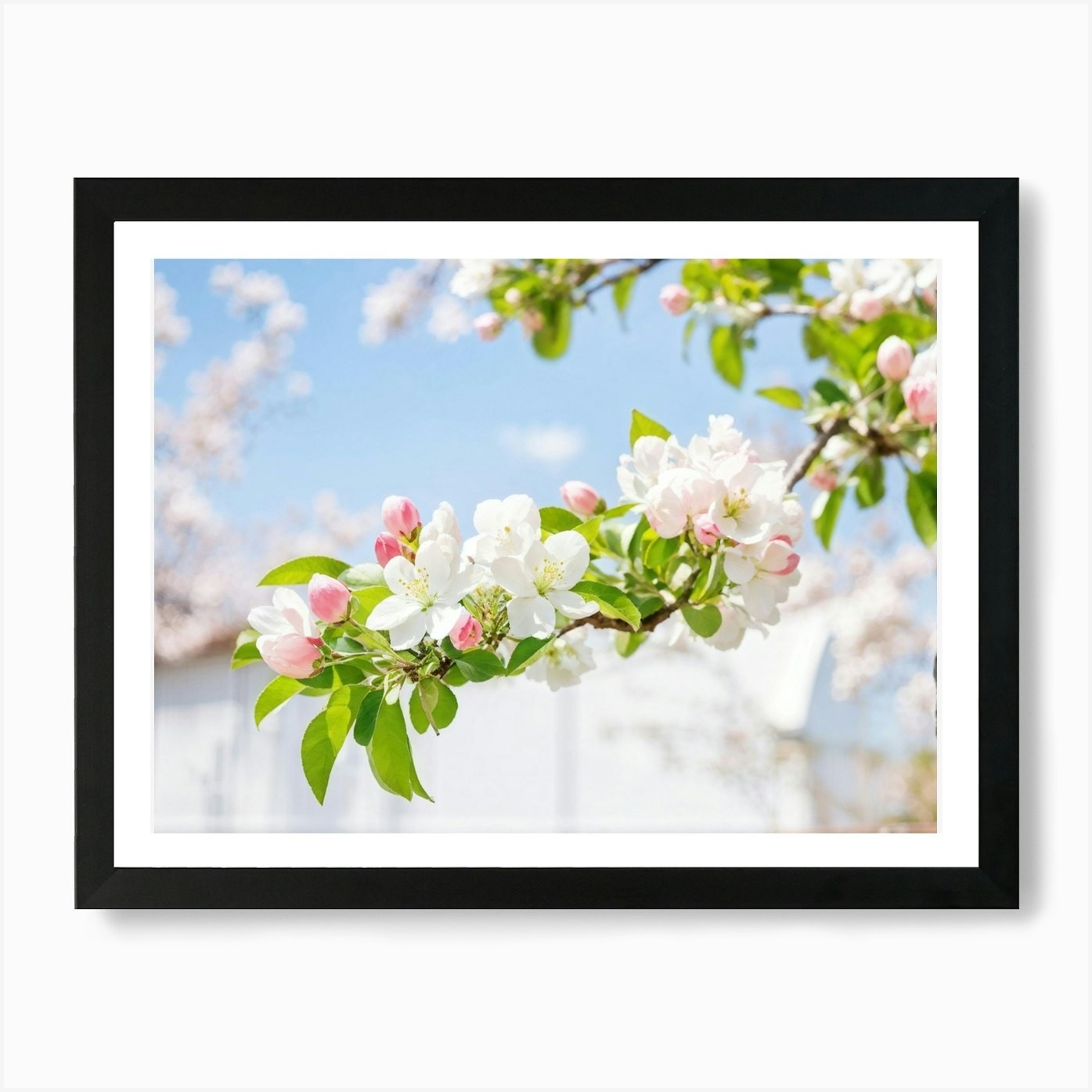 Blossoming Apple Tree Framed Art Print Canvas Wall Decor Picture