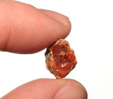 Amber Tree Sap Pitch Great Dinosaur Aged Fossil Hell Creek Formation Cretaceous