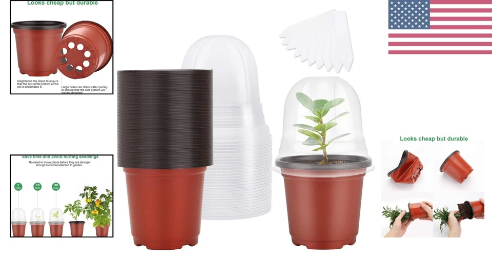 Macetas de vivero transparentes de 4" con cúpula de humedad para plántulas prósperas - 30 juegos Foto 2 de 4