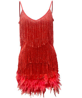 Elegant Chic Feather Fringe Sequin Dress Mini Luxury Sexy Club Party Dress - 第 13/17 張圖片