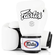 Fairtex BGV1 10oz Muay Thai Training Gloves f...