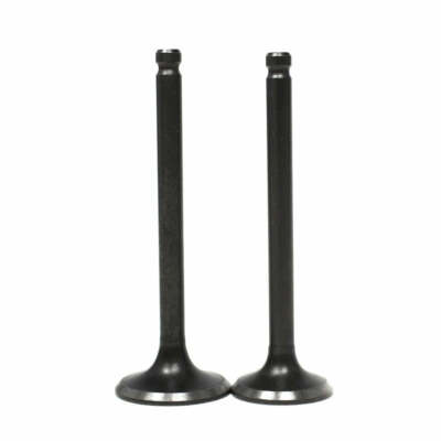 2005-2024 HONDA TRX500 FOREMAN 500 INTAKE EXHAUST VALVES valve set