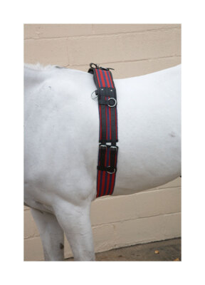 Hy Equestrian Training Roller verstellbares Gurtband & Leder Lunge Roller Kolben/Voll