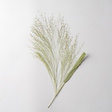 12PCS Real Pressed Dry Grass Leaves, Floral Supply for art craft FSS21