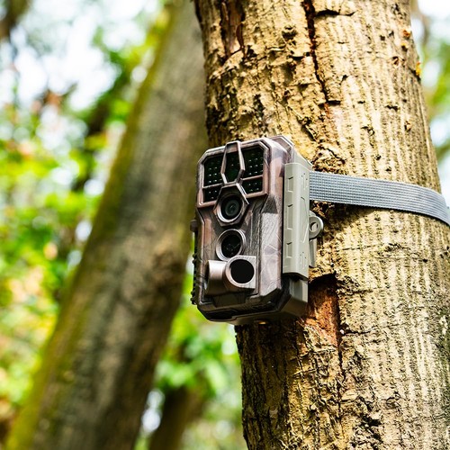 E5S Trail Camera (Non-Cellular, Non-WiFi), 64MP Photo & 1296P HD Video, 0.1s ... - Afbeelding 2 van 9