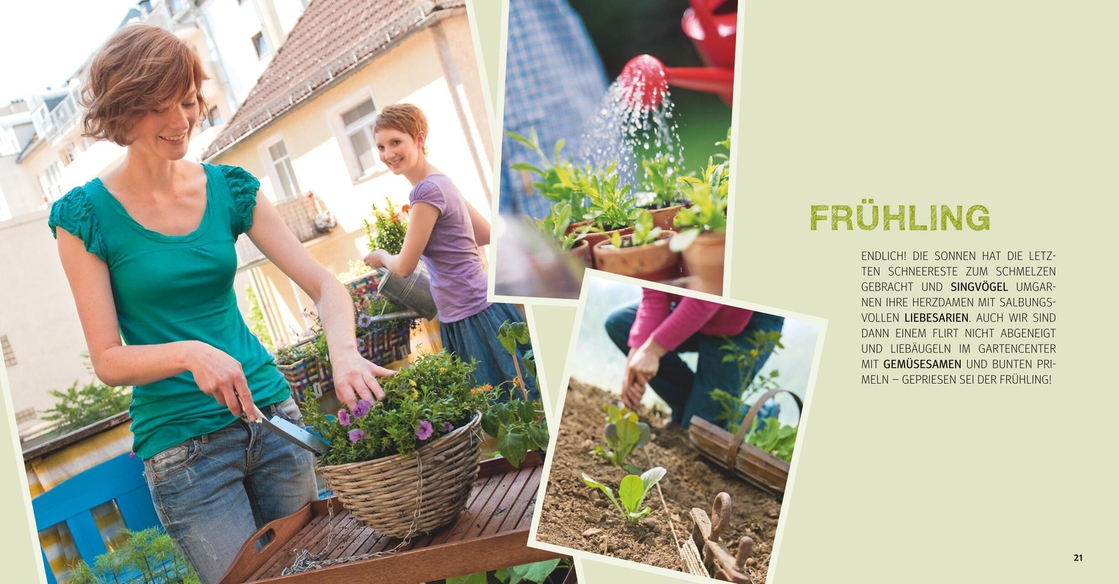 Thumbnail - Garten Basics - Gärtnern Für Anfänger Mascha Schacht