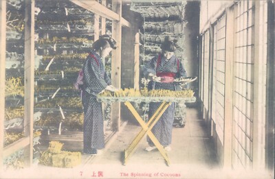 JAPAN silk manufacturing The spinning of cocoons 1910s PC