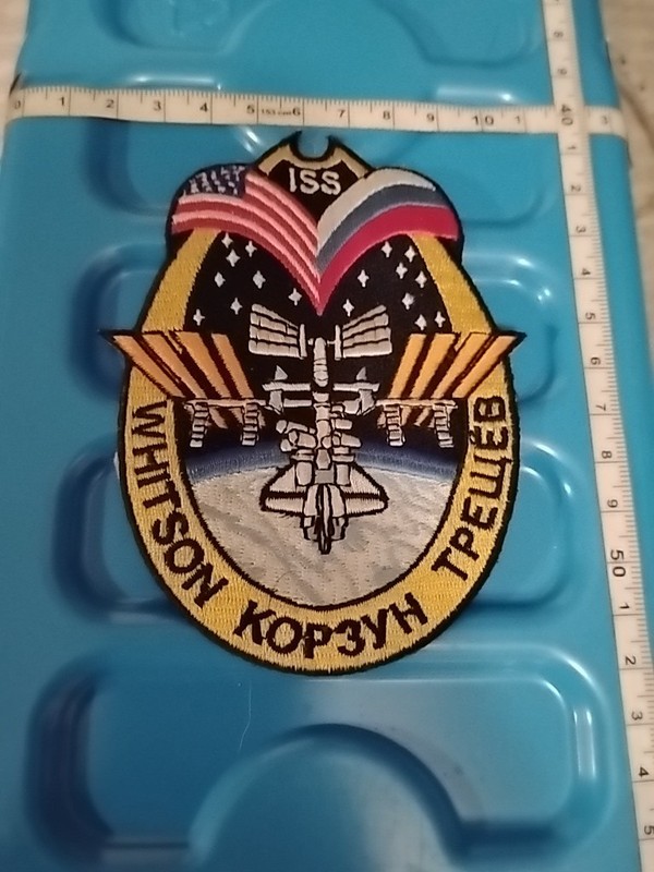 International Space Station ISS Dr Whitson Embroidered Patch Space Military Rare