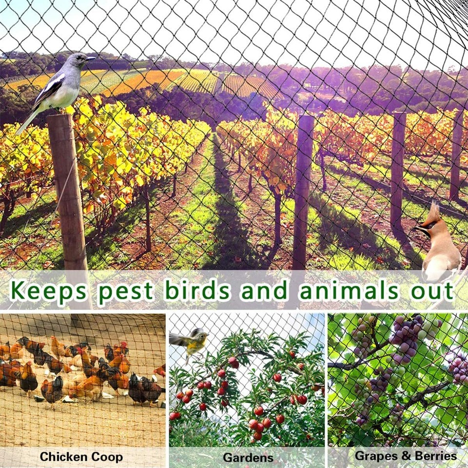 Heavy Duty 25' X 25' w/3/4" SMALLER HOLES Netting Garden Bird Poultry ...