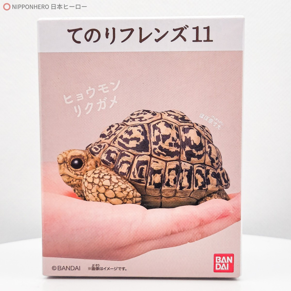 Tenori Friends LEOPARD TORTOISE Turtle Figure Marine Animal