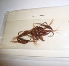 Foto 3 di 4