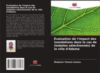 ÉValuation De L'impact Des Inondations Dans Le Cas De (Kebeles SéLectionnéS)...