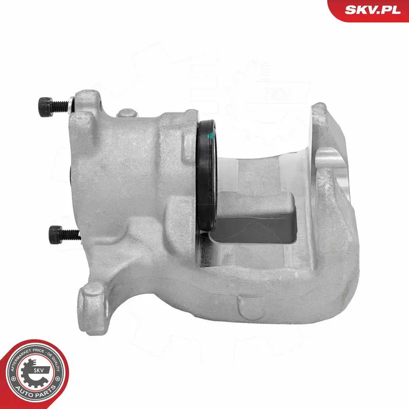 Pinza freno Assale posteriore Dx 89SKV494 ESEN SKV per TESLA MODEL 3 MODEL Y