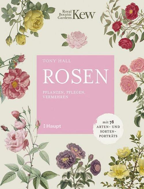 Rosen Tony Hall 9783258082592