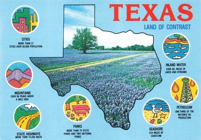 Postcard Texas Map Cartography Illustrated ''Lone State State'' Facts Features