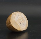 Afbeelding 2 van 9