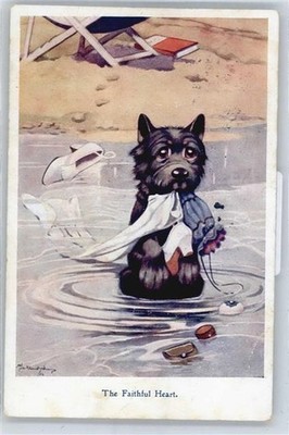50557106 - Dogs Bite in Clothes Humor