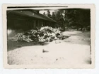 # 14  OLD WW2 MILITARY PHOTO DACHAU CONCENTRATION CAMP SNAPSHOT