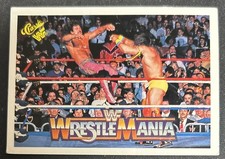 Ultimate Warrior Cards and Memorabilia Guide 31