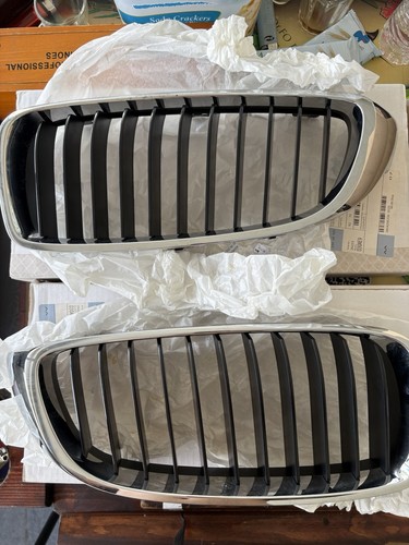 New Front Grille BMW