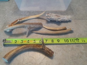 * Dog Chews * 1Lb Large Deer Antler Chews ~ All Natural
