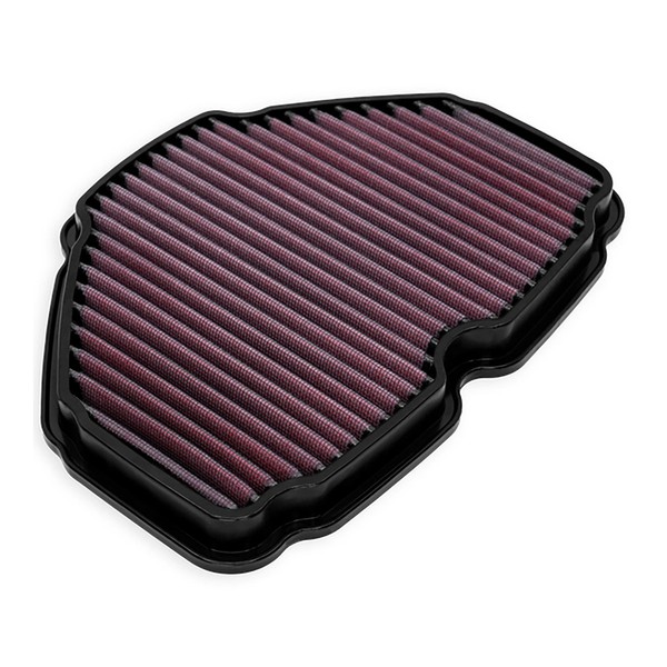 Dna Luftfilter Performance (FüR: Honda Gl 1800 Gold Wing Abs SC79 18-24 )-image