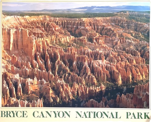 Impact Bryce Canyon National Park Photo Art Print Poster Ed Cooper 28X22” #10432