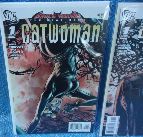 DC Comics Bruce Wayne The Road Home Lote de 1 disparo Catwoman Commiss Gordon Outsiders - Imagen 4 de 14