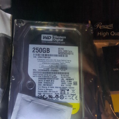 NEW WD Western Digital RE4 Enterprise 250GB 64MB Cache WD2503ABYX and SATA cable