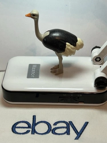 Vintage Playmobil Adult Ostrich Gray 3 inch Figure 71296 4831 6646