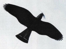 Buzzard Electric Sport Model 52" Wing RC Model Airplane Printed Plans Templates