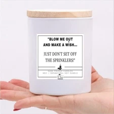 Funny Candles/ Blow Me Out & Make a Wish/ 8oz Scented Soy Candle/ Gift/ Birthday