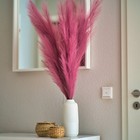 Bild 7 von 22