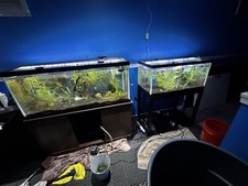 Fish tanks 75/40