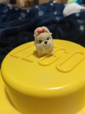 Puppy in My Pocket Maltese Dog