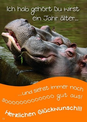 APOLLO 97113 - Soundkarte A5 - ''Geburtstag'' - Format: 14,8 x 21 cm