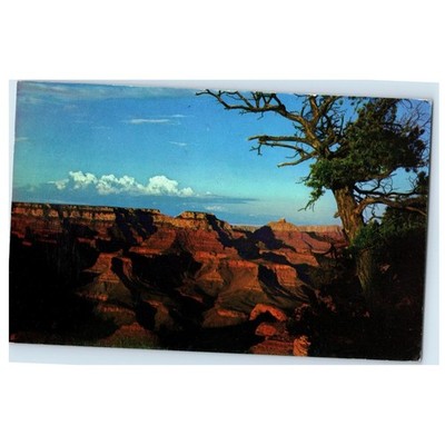 Sunset Grand Canyon Postcard Vintage Smokey Bear Postmark 1962 3 Cent Stamp