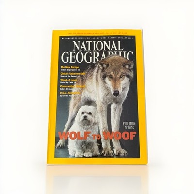 National Geographic Magazine January 2002 Wolf To Woof Evolution Of Dogs