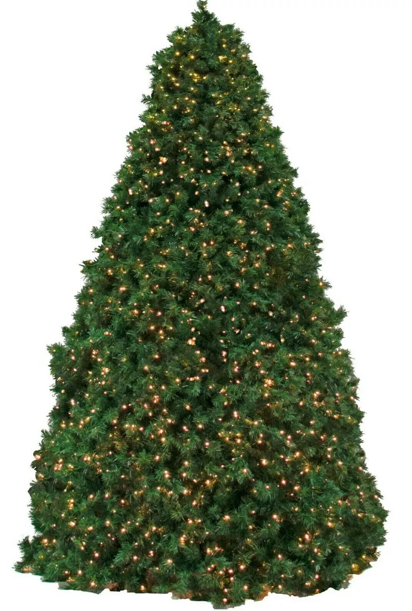 Cheap 10ft 2024 christmas tree