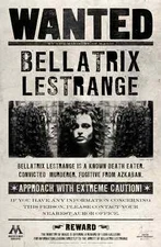 Harry Potter Bellatrix's wanted  11" x 17" Collector's Movie Poster