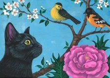 ACEO PRINT OF PAINTING RYTA BLACK CAT SPRING BIRDS BALTIMORE ORIOLE WARBLER ART