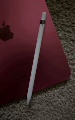 10th Generation ipad (Pink ) Wifi Only 64GB | eBay